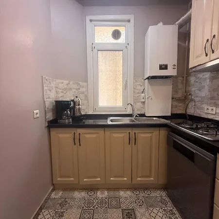 Elegant 3br Apt, Palace Style, 4ac, Balcony, 5 Min To Taksim #s3 * Istanbul